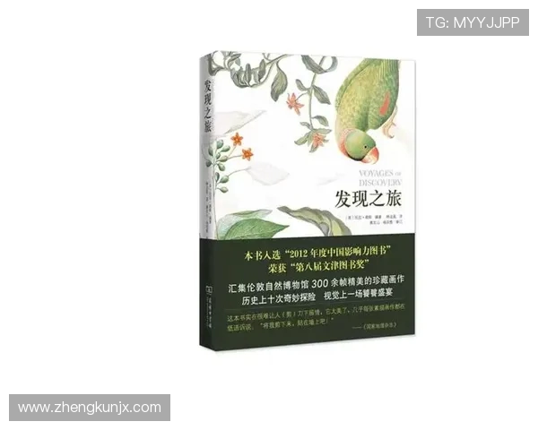 探索斯通斯的神秘历史与文化影响力之旅