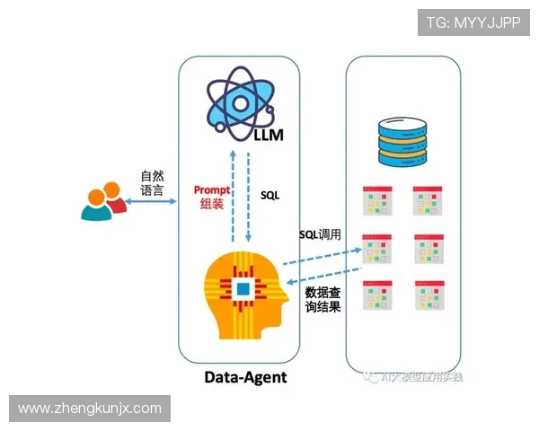 武汉极限运动队技术表现分析与数据解读探讨