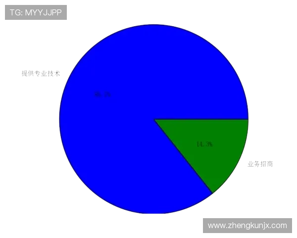 广州羽毛球队总决赛技术分析与表现评估全面解读
